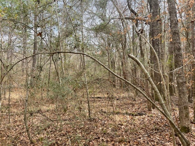 0 Carmel-New Hope Road Jayess, MS 39641 - Photo 30 of 37 Photo 30