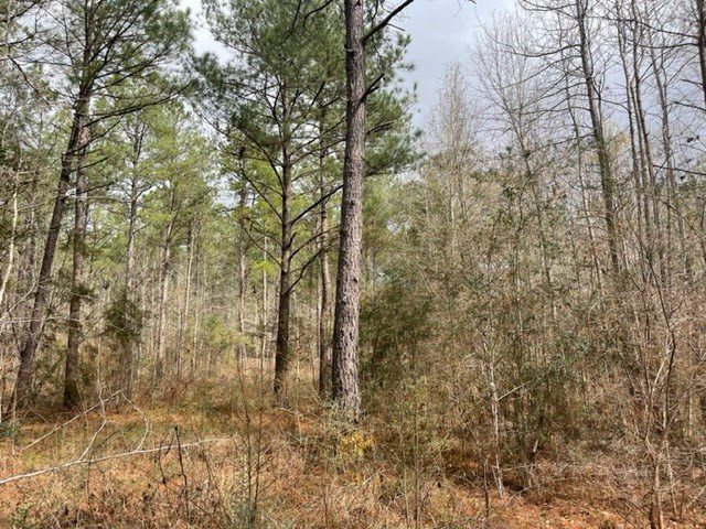 0 Carmel-New Hope Road Jayess, MS 39641 - Photo 31 of 37 Photo 31