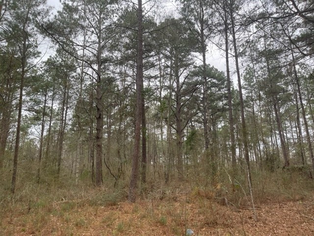 0 Carmel-New Hope Road Jayess, MS 39641 - Photo 35 of 37 Photo 35