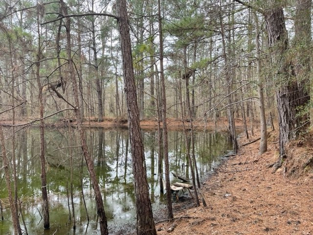 0 Carmel-New Hope Road Jayess, MS 39641 - Photo 7 of 37 Photo 7