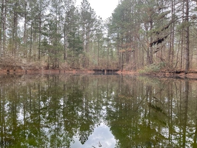 0 Carmel-New Hope Road Jayess, MS 39641 - Photo 9 of 37 Photo 9