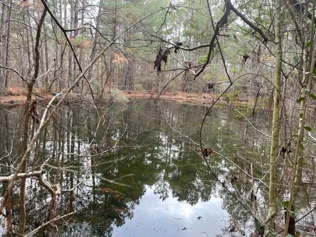 0 Carmel-New Hope Road Jayess, MS 39641 - Photo 10 of 37 Photo 10