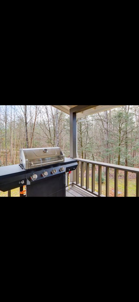 133 Yellowbird Trail Blue Ridge, GA 30513 - Photo 13 of 30