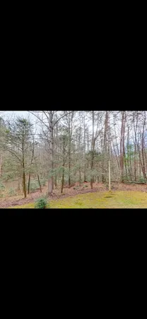 $2,500 | 133 Yellowbird Trail, Blue Ridge, GA 30513