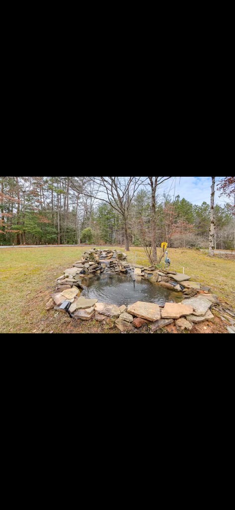 133 Yellowbird Trail Blue Ridge, GA 30513 - Photo 17 of 30