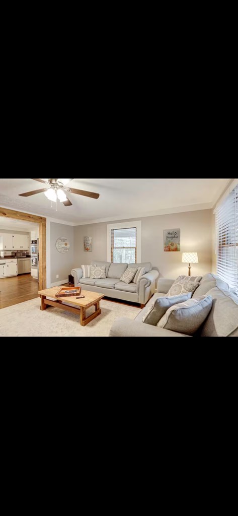 133 Yellowbird Trail Blue Ridge, GA 30513 - Photo 29 of 30