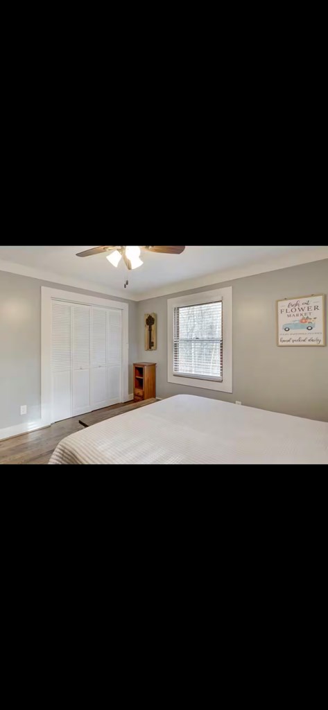 133 Yellowbird Trail Blue Ridge, GA 30513 - Photo 7 of 30