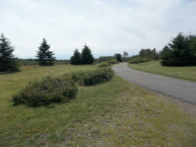 758 Dixie Road Lubec, ME 04652 - Photo 12 of 14 Yard/Garden.