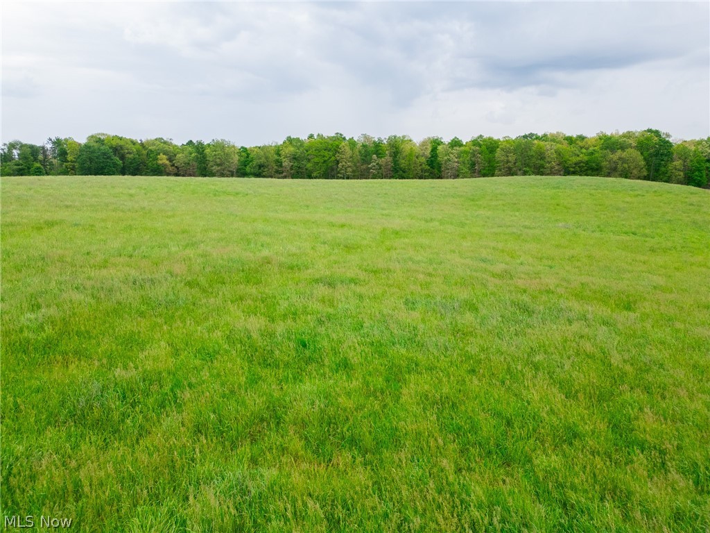 Emerick Road Summitville, OH 43962 - Photo 11 of 47