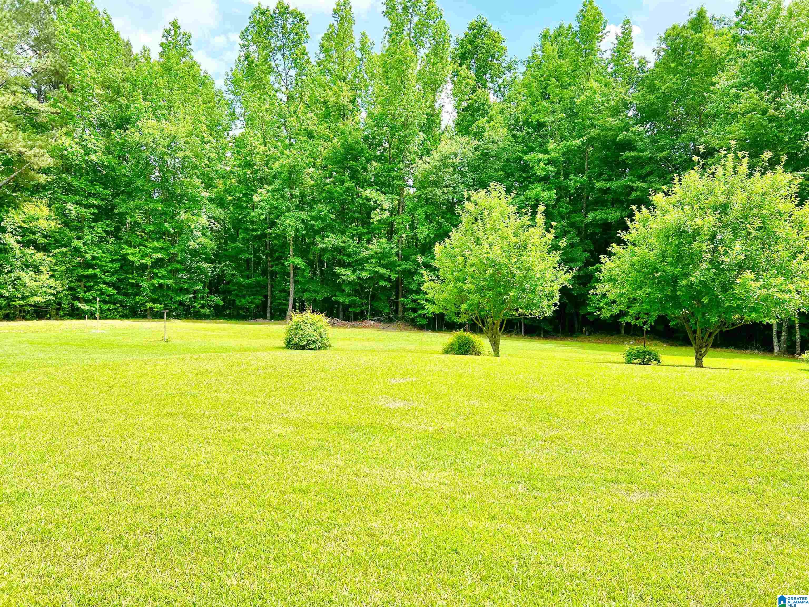 1797-ea Mill Dr Co Road Goodwater, AL 35072 - Photo 26 of 39