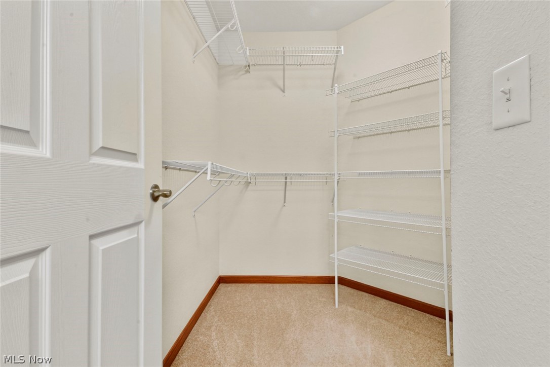9264 Sharrott Road, Unit 1502 Youngstown, OH 44514 - Photo 6 of 20 walk-in closet