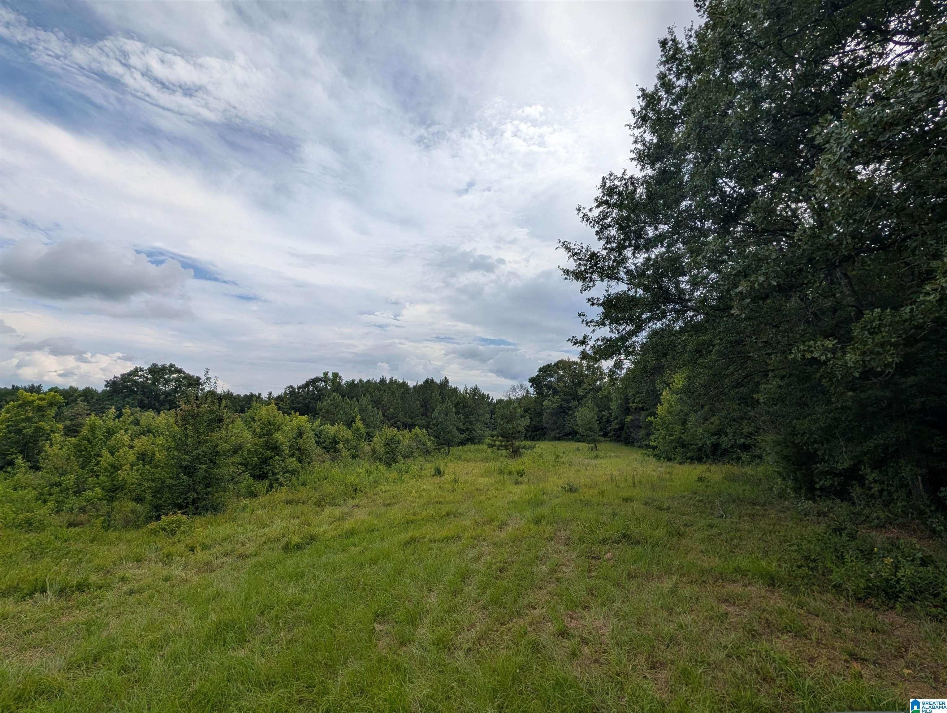 0 Barclay Road Alpine, AL 35014 - Photo 4 of 26 Gallery Image 4