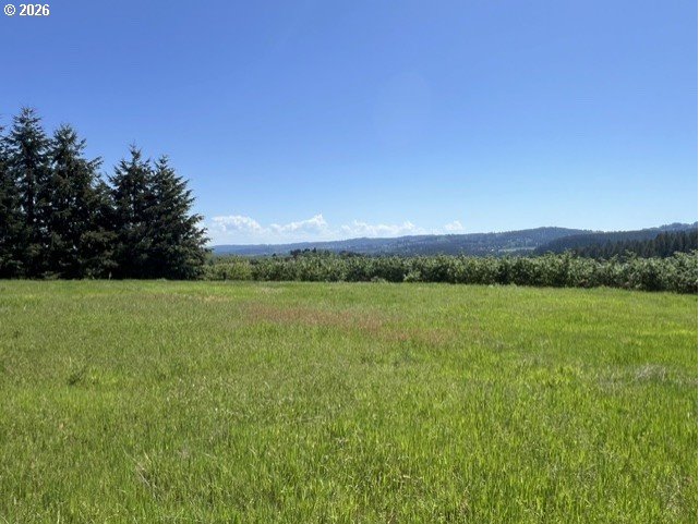 32784 Southwest Laurelview Road Hillsboro, OR 97123 - Photo 5 of 43