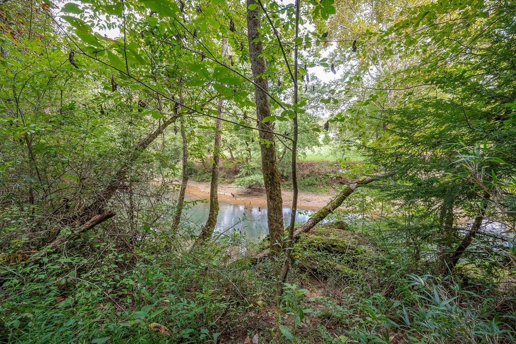 0 Doran Road Sparta, TN 38583 - Photo 17 of 19 Gallery Image 17