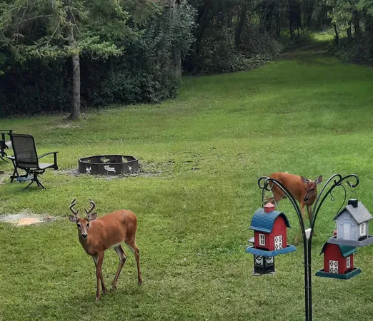 $319,000 | 15636 Us Highway Northeast, Thief River Falls, MN 56701