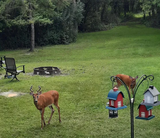 $340,000 | 15636 Us Highway Northeast, Thief River Falls, MN 56701