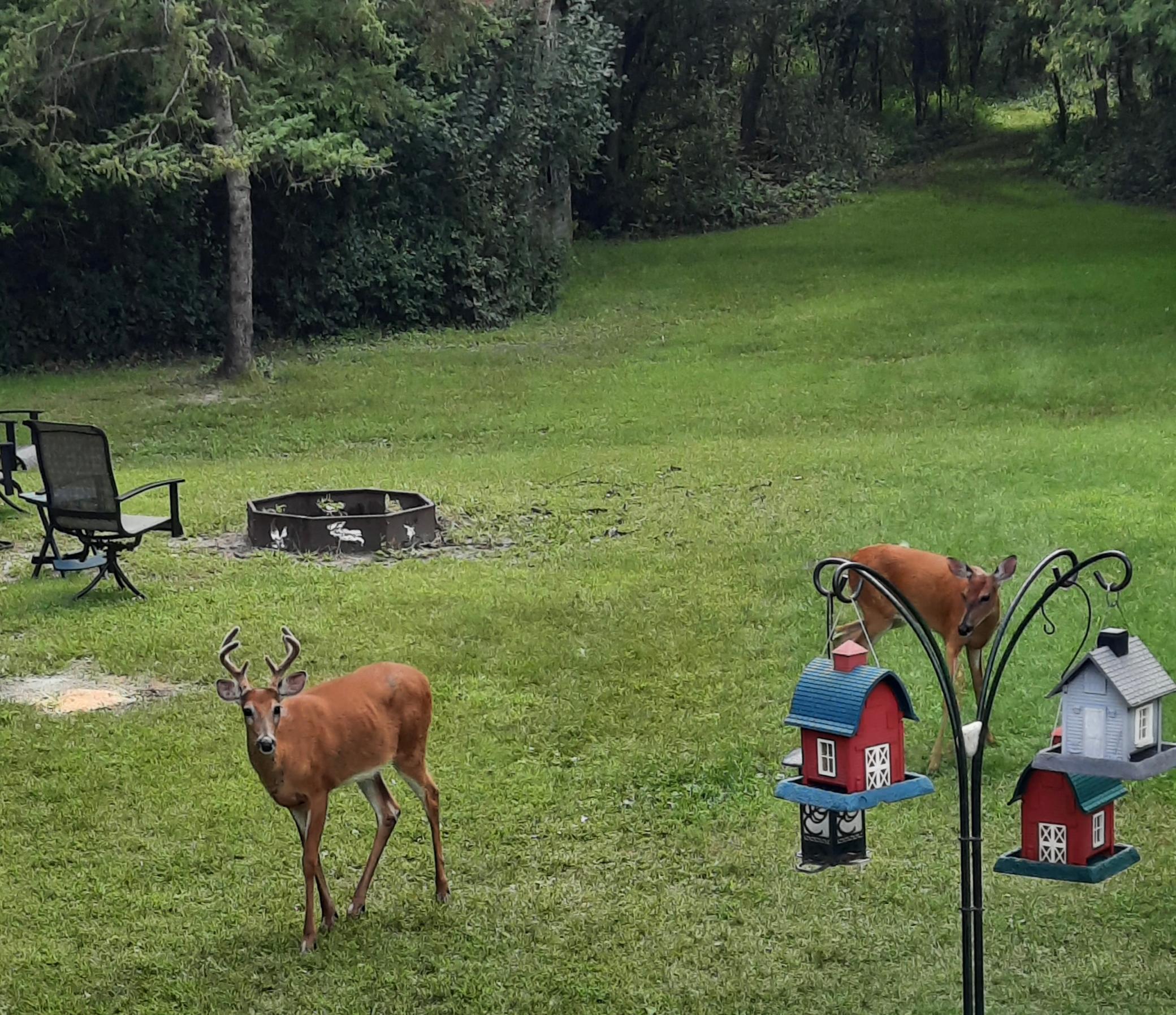 15636 Us Highway Northeast Thief River Falls, MN 56701 - Photo 71 of 79