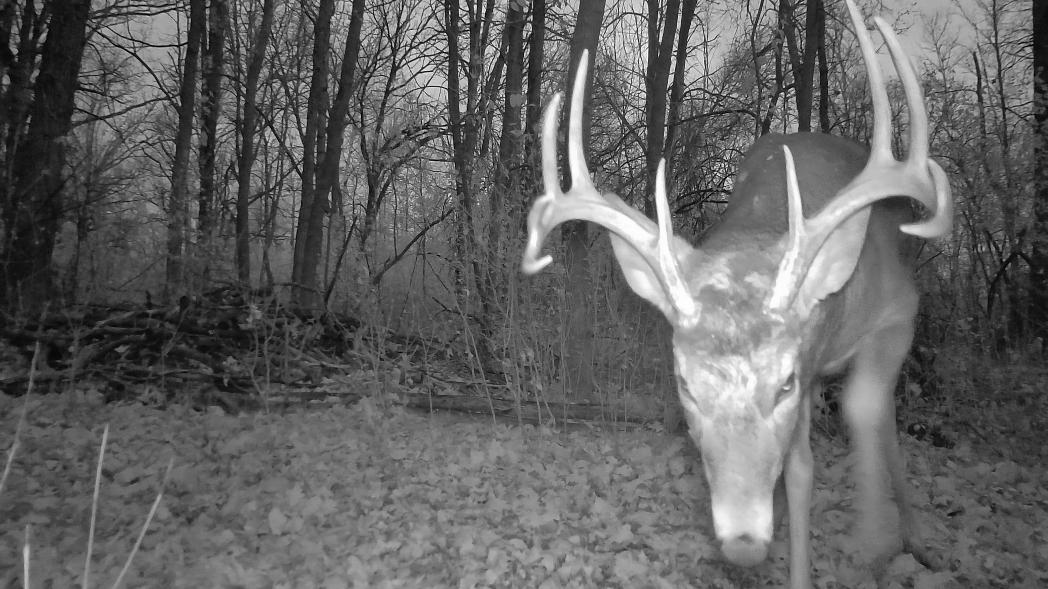 15636 Us Highway Northeast Thief River Falls, MN 56701 - Photo 73 of 79