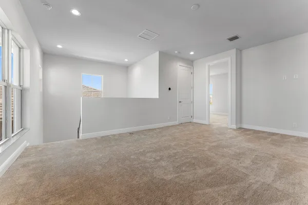 a view of a park that has a tree in it