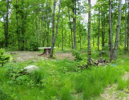 999999 Old Vienna Road Chesterville, ME 04938 - Photo 7 of 8 Land/Lot.