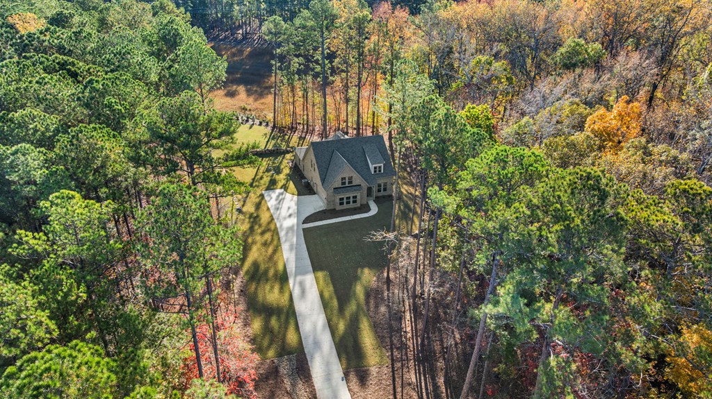 3098 Piedmont Lake Road Pine Mountain, GA 31822 - Photo 4 of 25
