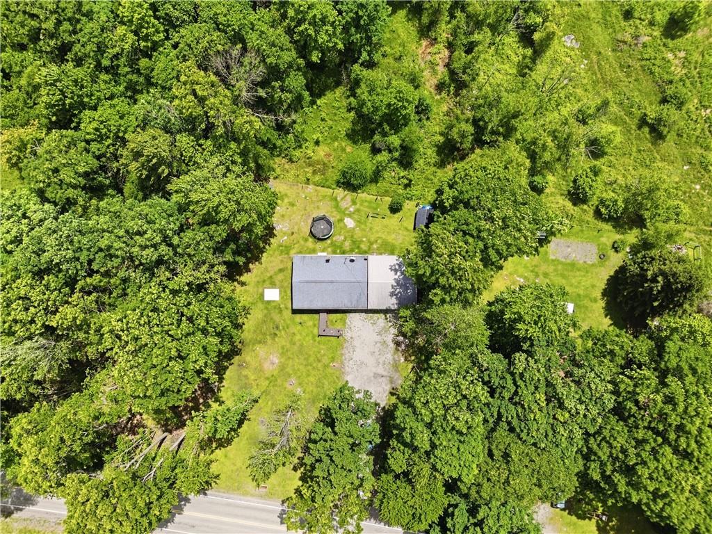 485 Scullton Road Rockwood, PA 15557 - Photo 27 of 27 a view of a yard with plants and large trees