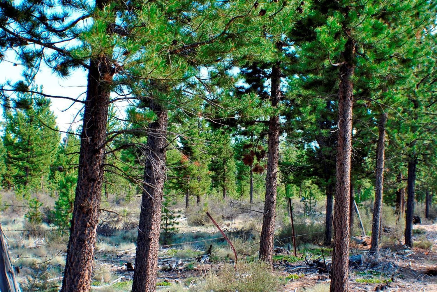 1004 Yoke Road La Pine, OR 97739 - Photo 22 of 23 BLM fence at East border of property.