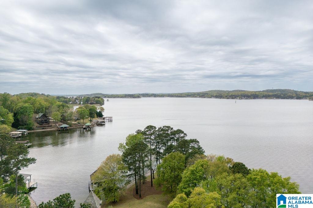 99 Waters Edge Way Alpine, AL 35014 - Photo 81 of 90