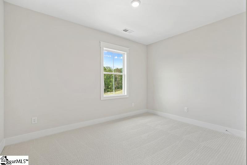 115 Pipet Road, Unit HOMESITE 14 Piedmont, SC 29673 - Photo 13 of 23 Gallery Image 13