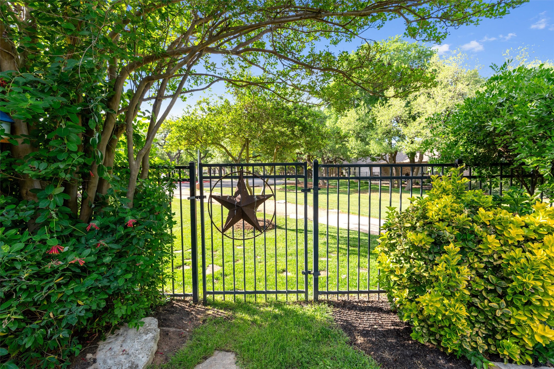 809 Boquilla Trail Georgetown, TX 78633 - Photo 31 of 39