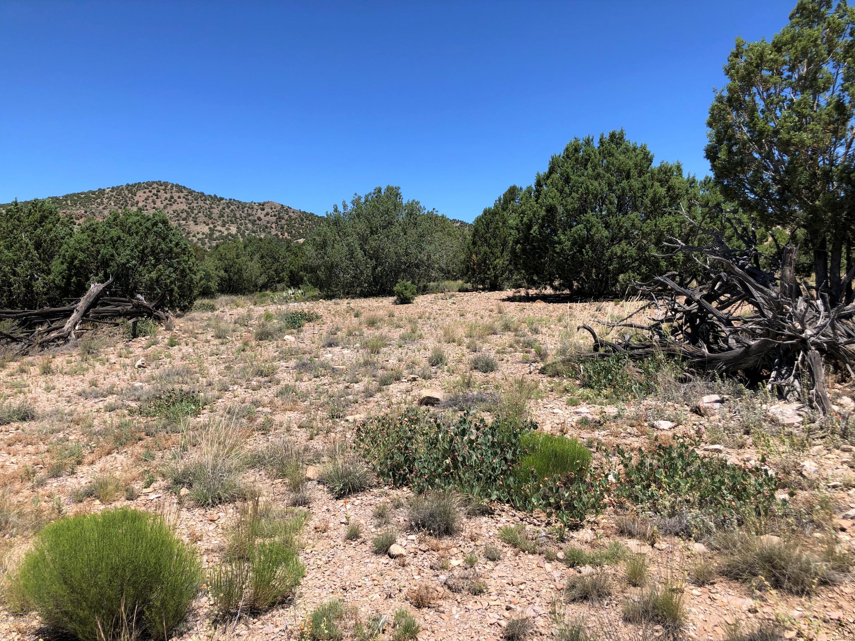18700 Butte Pass Road Prescott, AZ 86305 - Photo 1 of 43 a view of a yard of a house