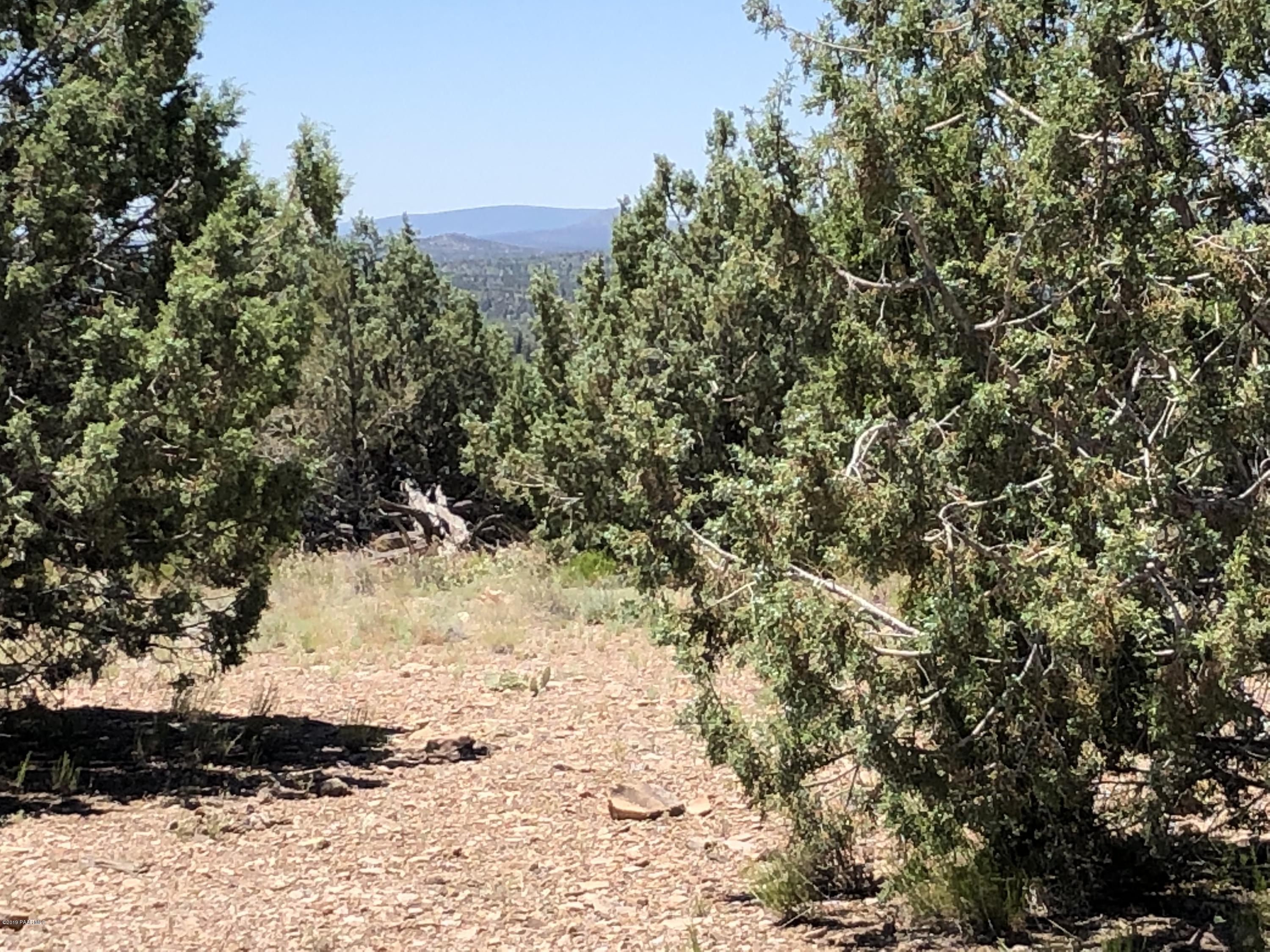 18700 Butte Pass Road Prescott, AZ 86305 - Photo 13 of 43 a view of a yard with a tree