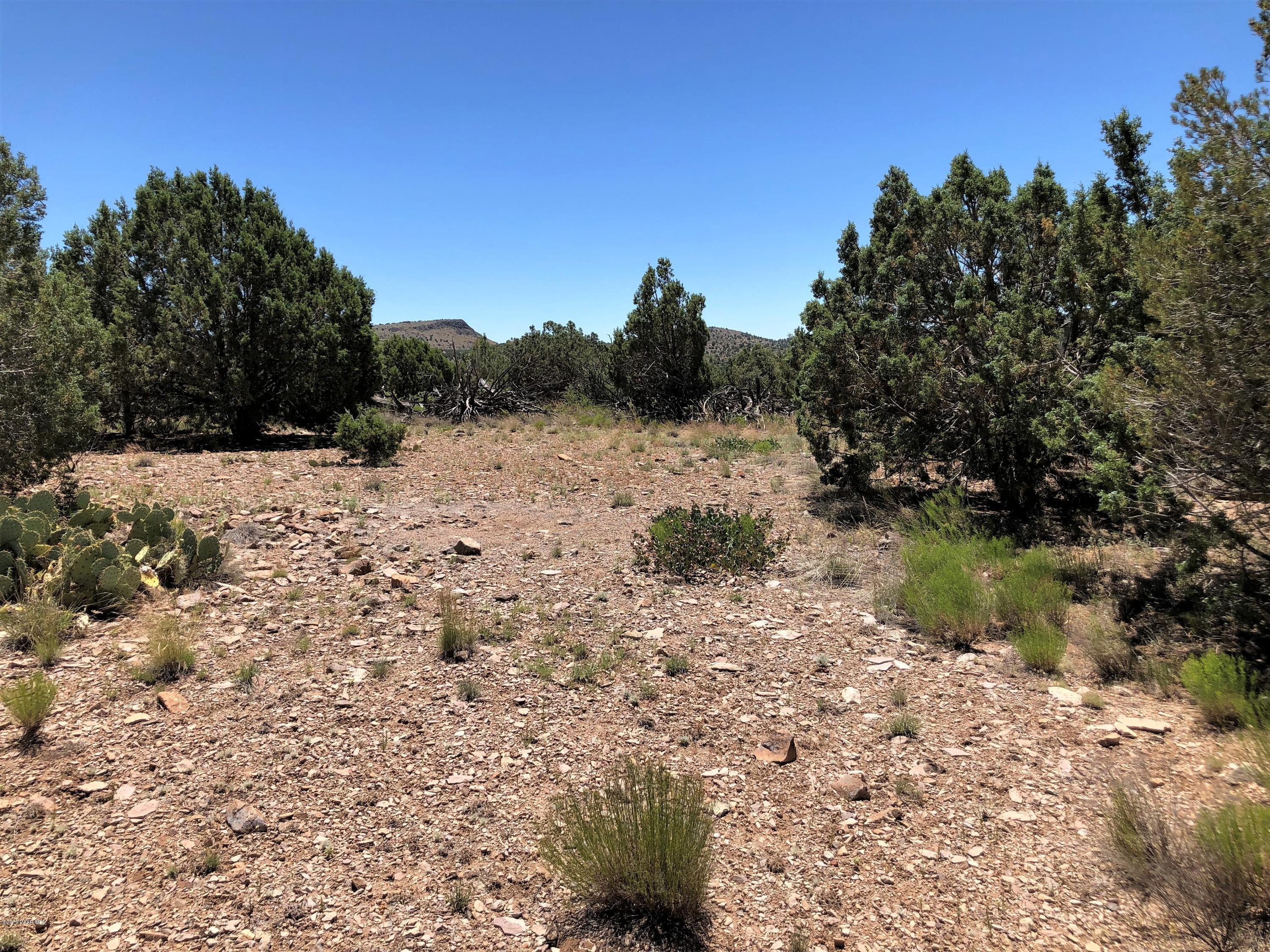 18700 Butte Pass Road Prescott, AZ 86305 - Photo 14 of 43 a view of a yard with a tree