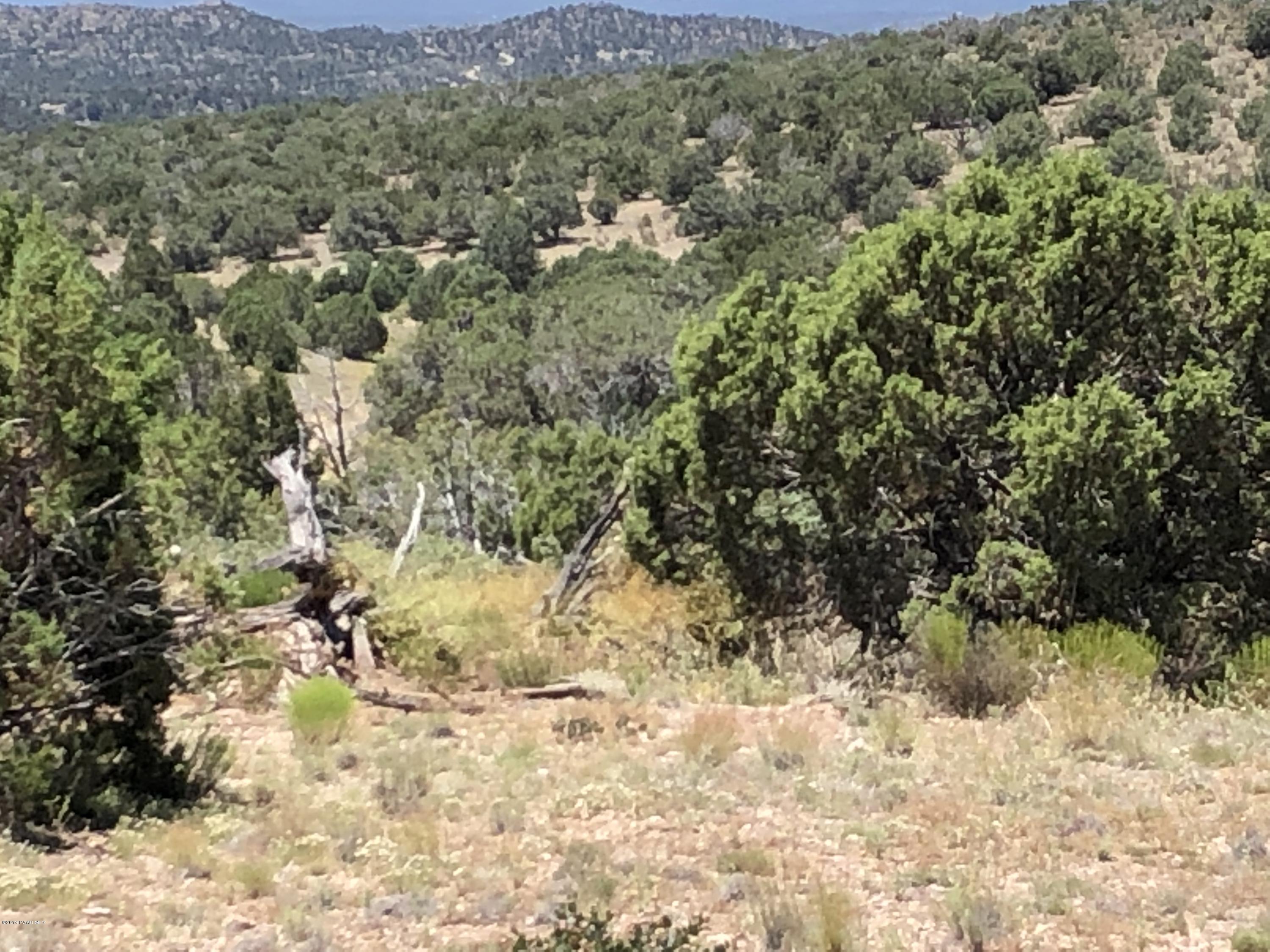18700 Butte Pass Road Prescott, AZ 86305 - Photo 15 of 43 a view of a yard with a tree