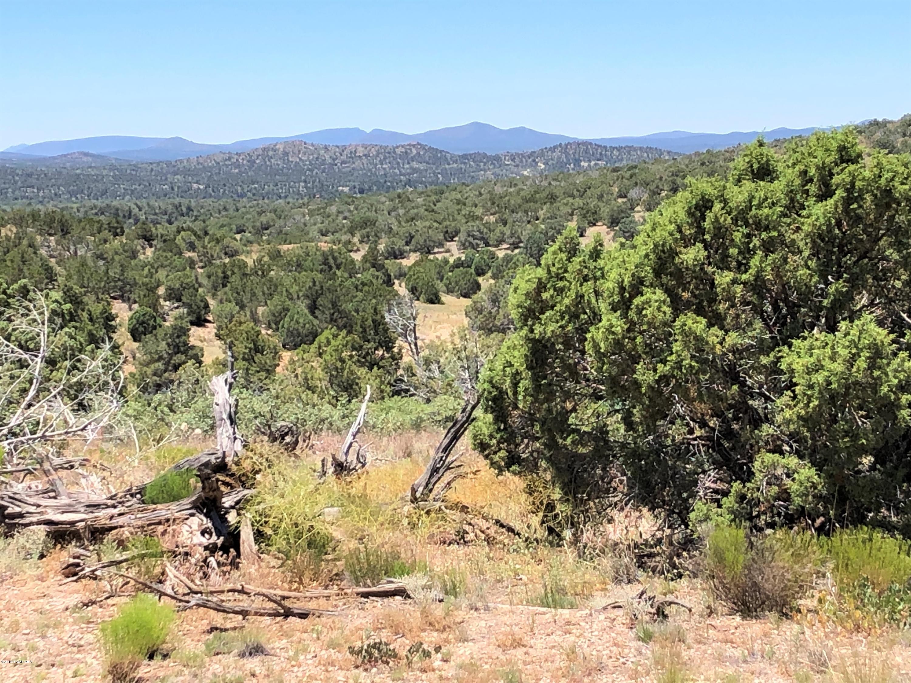 18700 Butte Pass Road Prescott, AZ 86305 - Photo 17 of 43 a view of a forest with mountains in the background