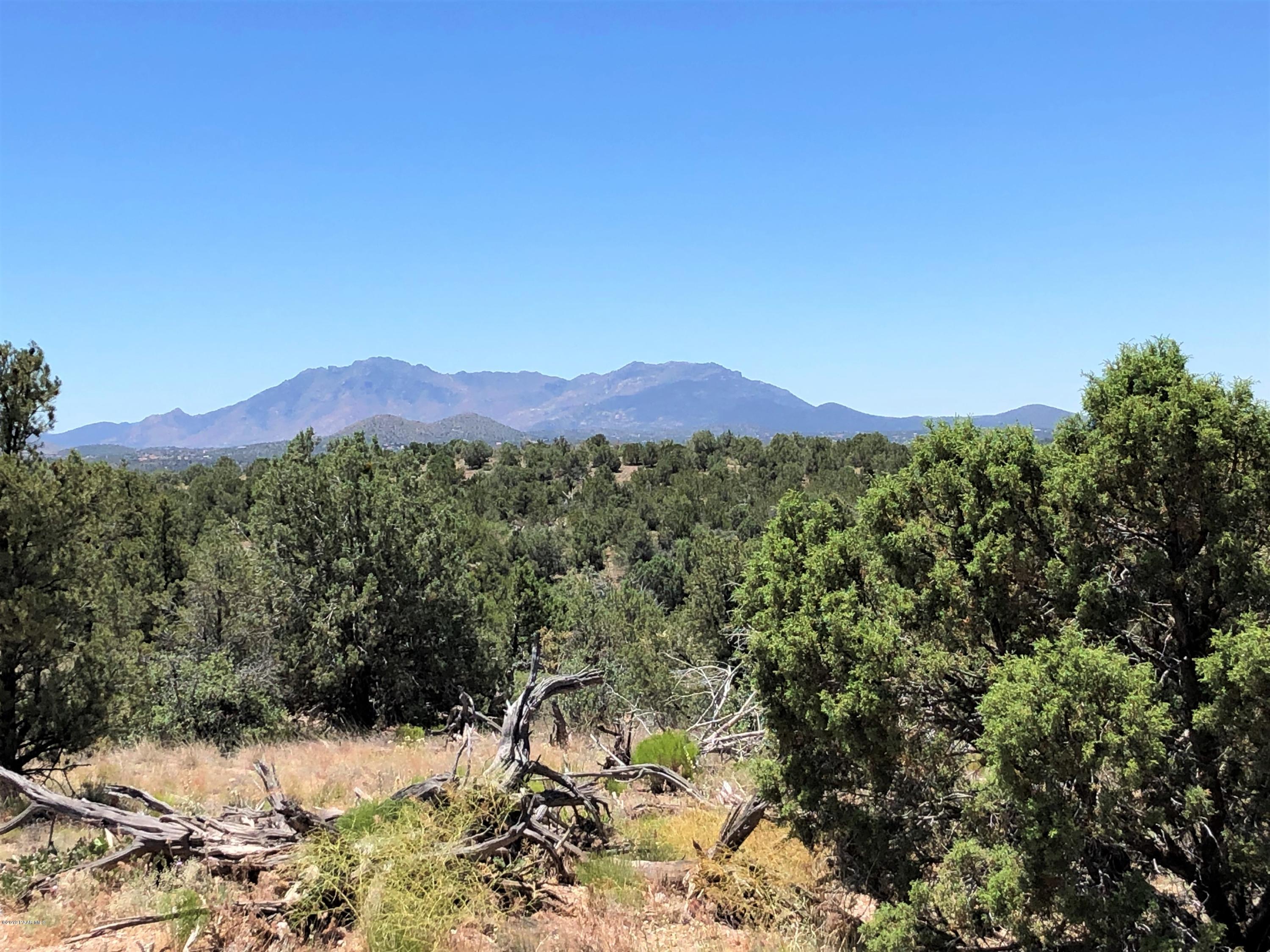18700 Butte Pass Road Prescott, AZ 86305 - Photo 19 of 43 a view of a forest with mountains in the background
