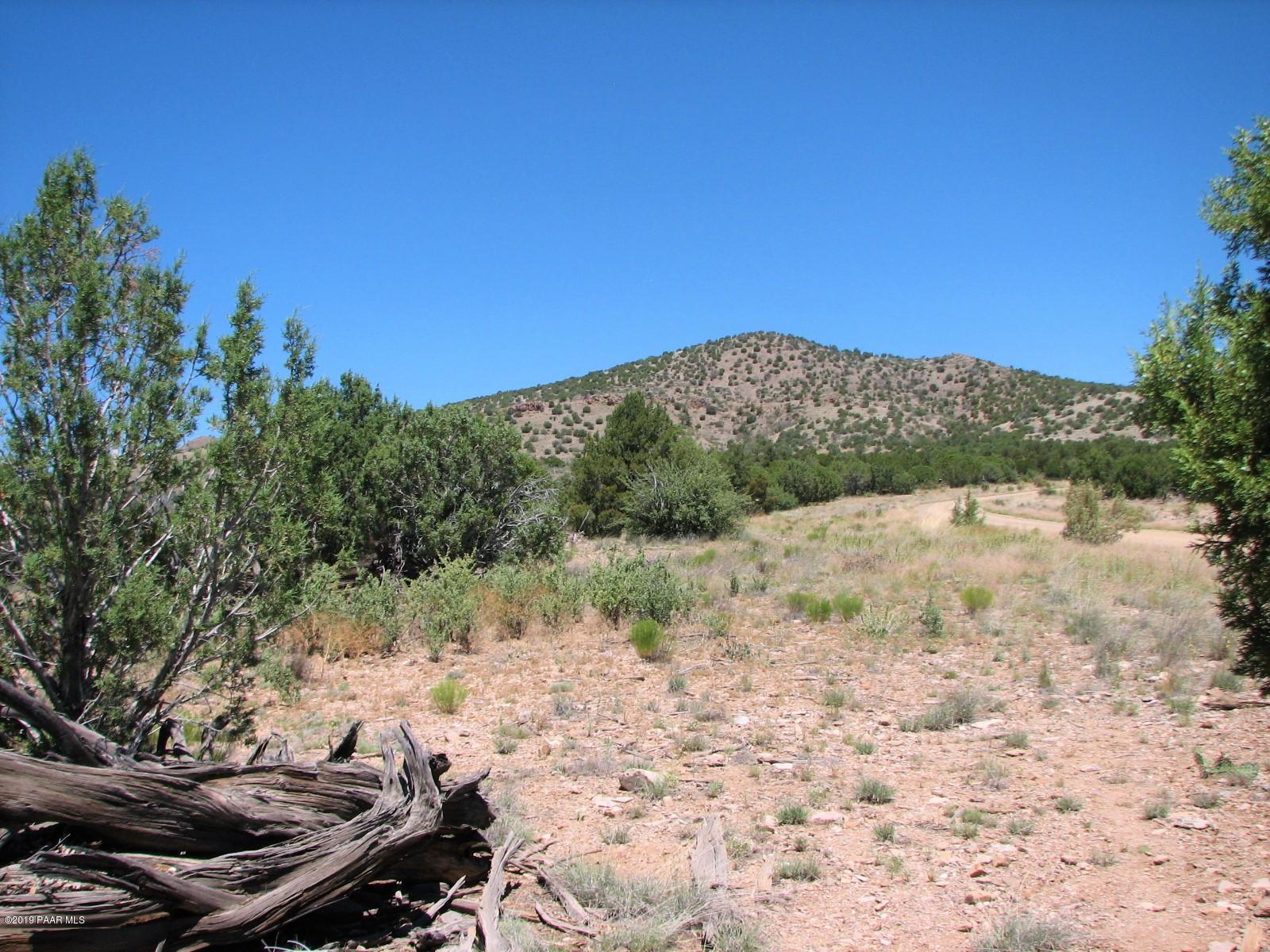 18700 Butte Pass Road Prescott, AZ 86305 - Photo 25 of 43 a view of a yard with a tree
