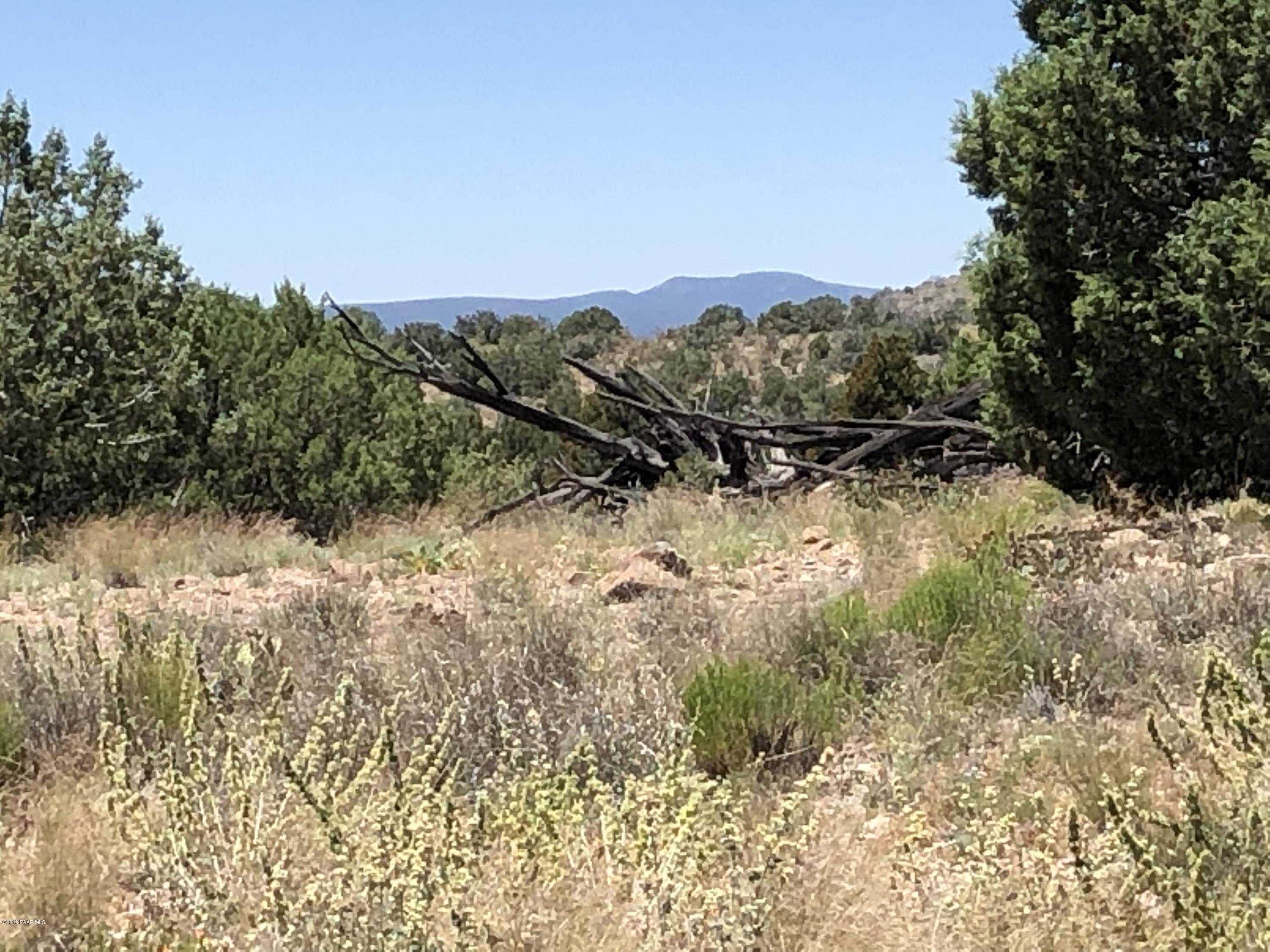 18700 Butte Pass Road Prescott, AZ 86305 - Photo 27 of 43 a view of a yard with wooden fence