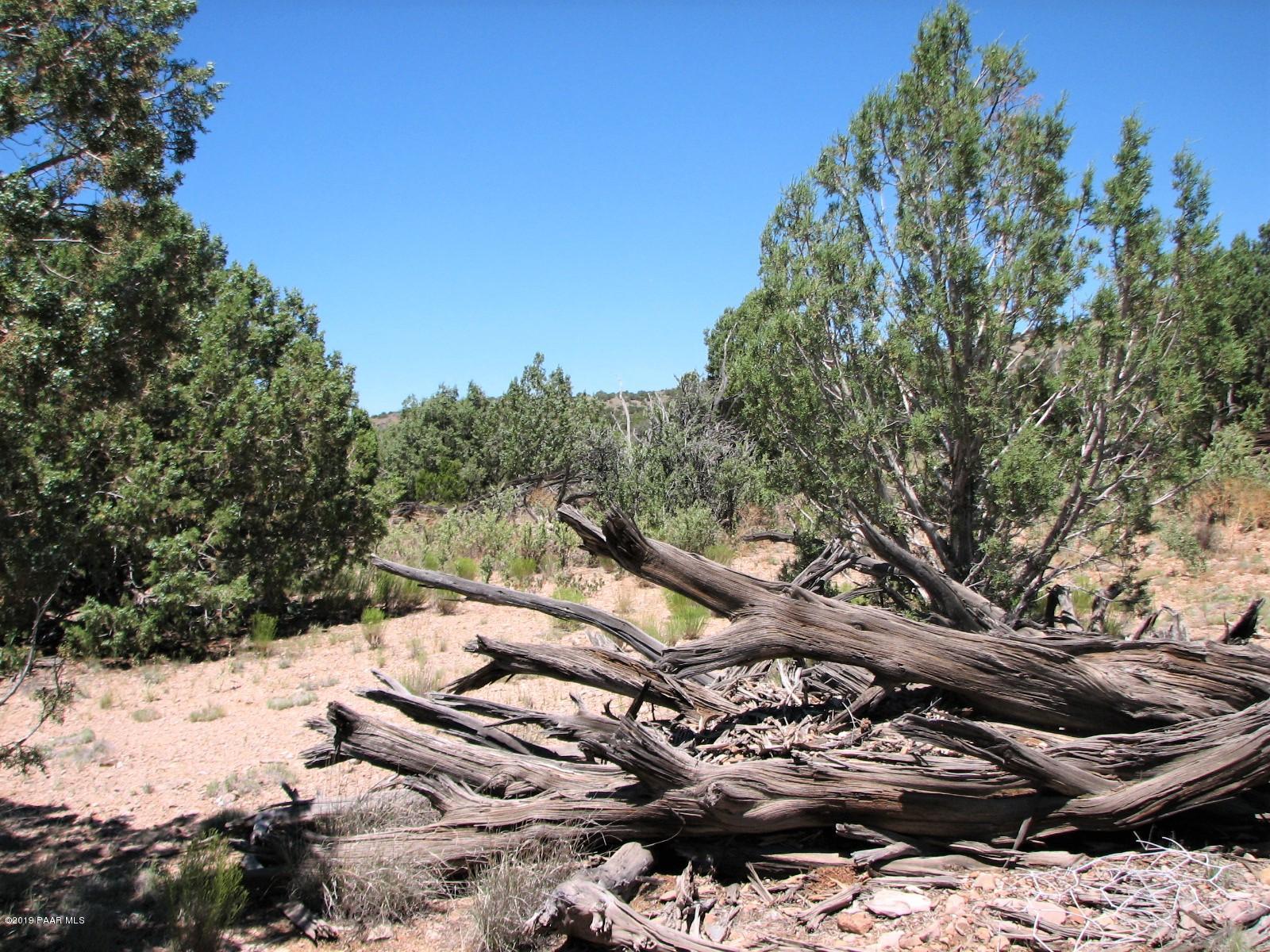 18700 Butte Pass Road Prescott, AZ 86305 - Photo 31 of 43 a view of a yard with plants and trees