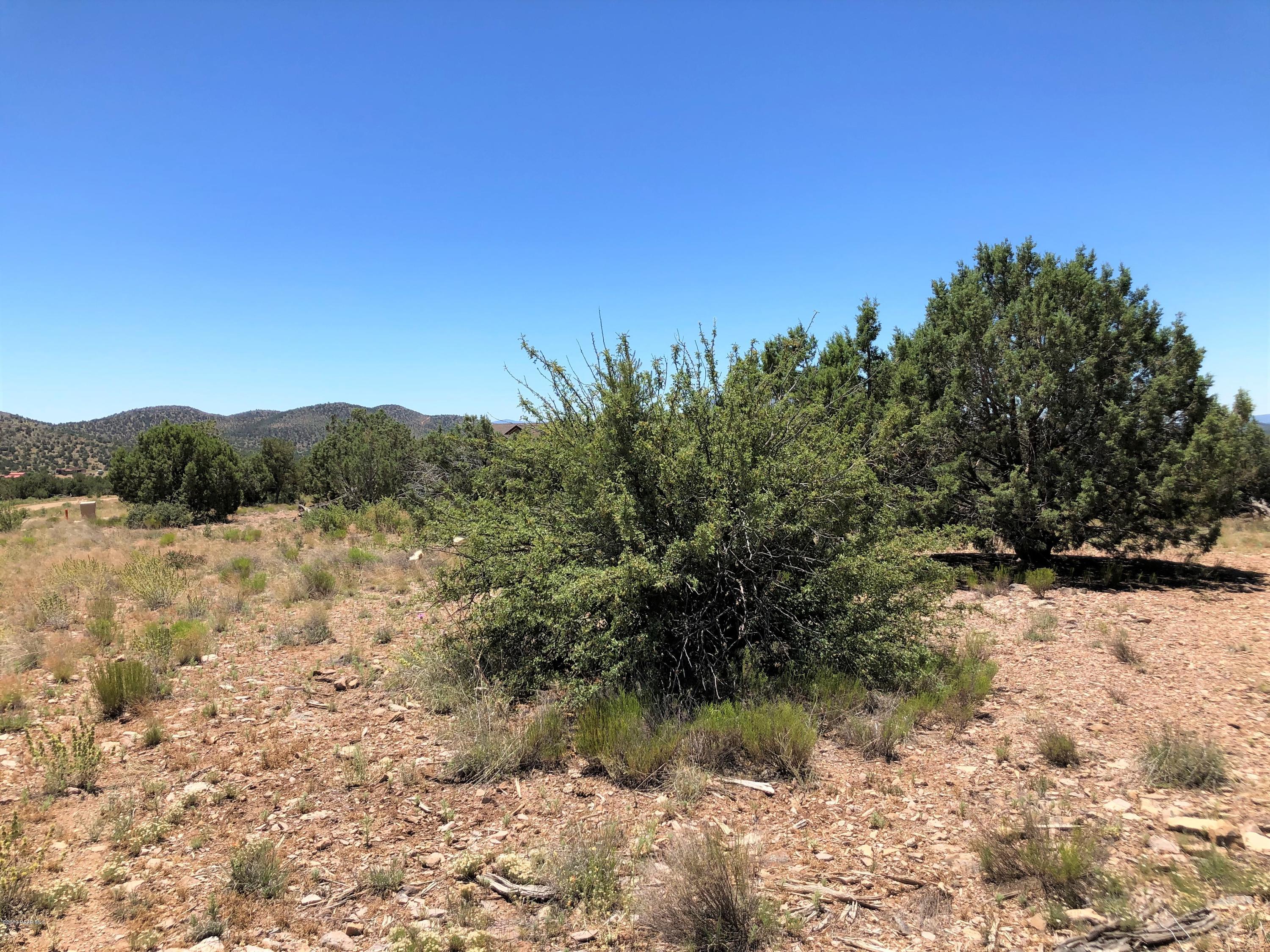 18700 Butte Pass Road Prescott, AZ 86305 - Photo 32 of 43 a view of a yard with a tree