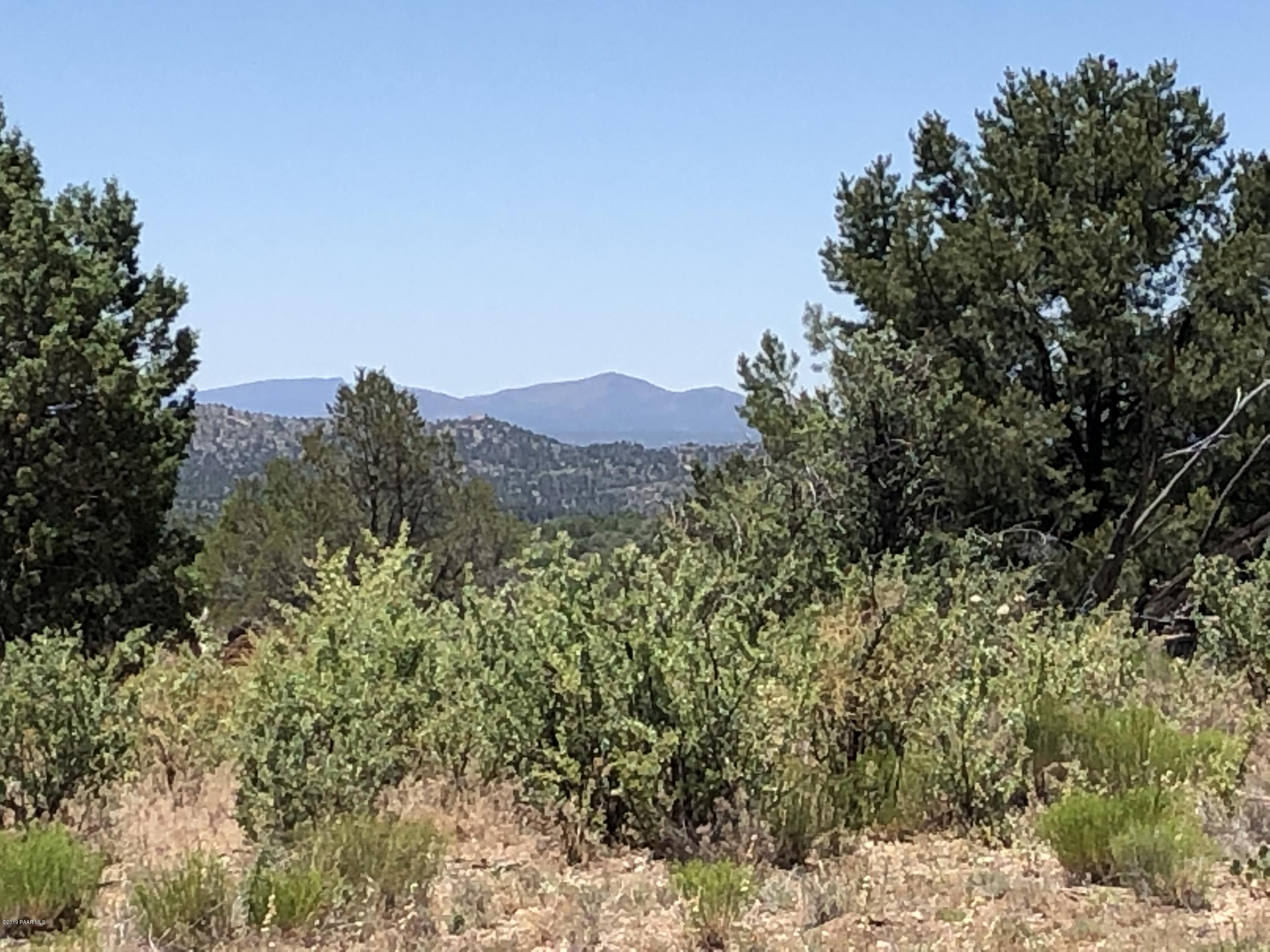 18700 Butte Pass Road Prescott, AZ 86305 - Photo 35 of 43 a view of a lush green forest with trees in the background