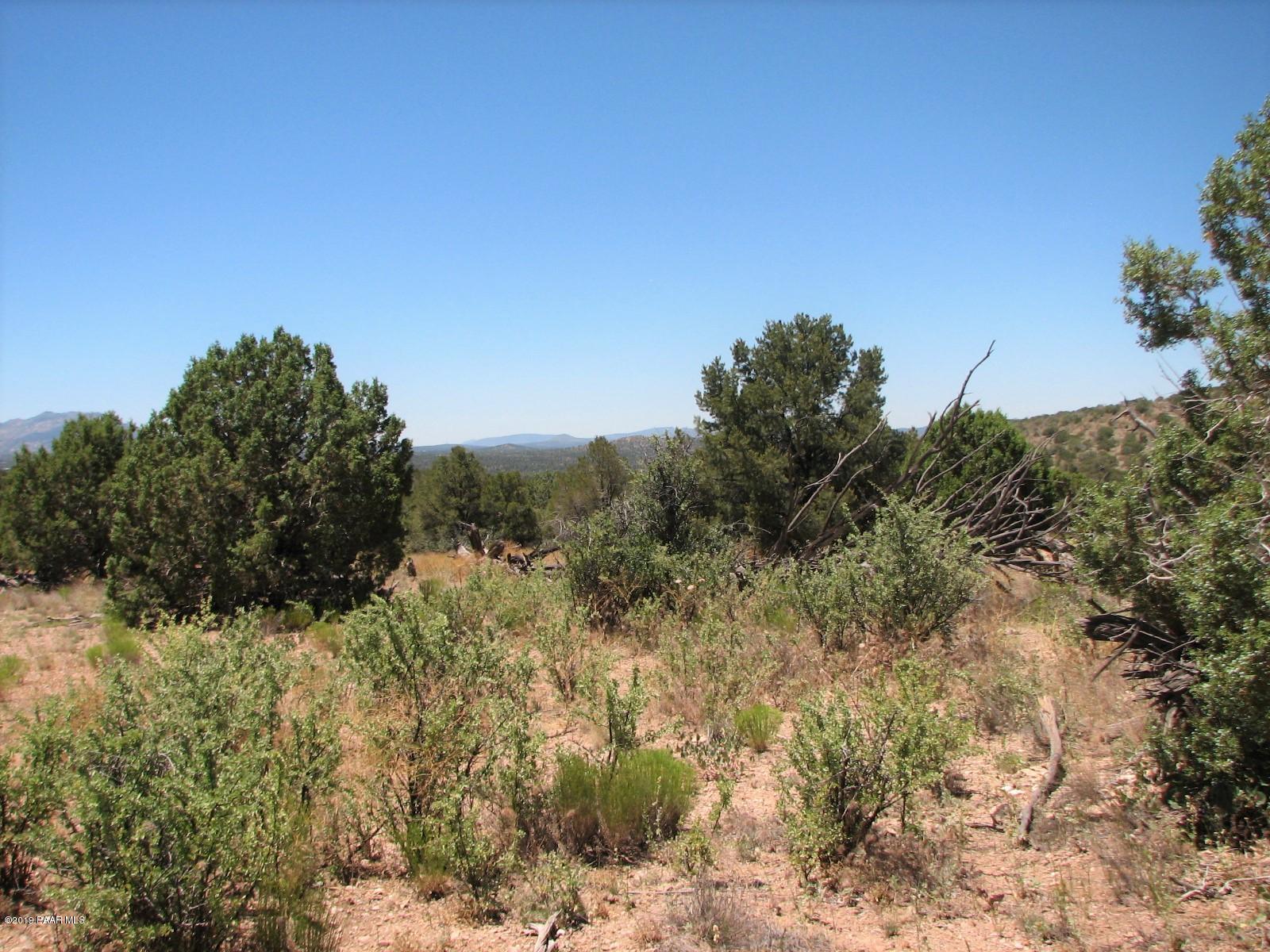 18700 Butte Pass Road Prescott, AZ 86305 - Photo 38 of 43 a view of a yard with a tree