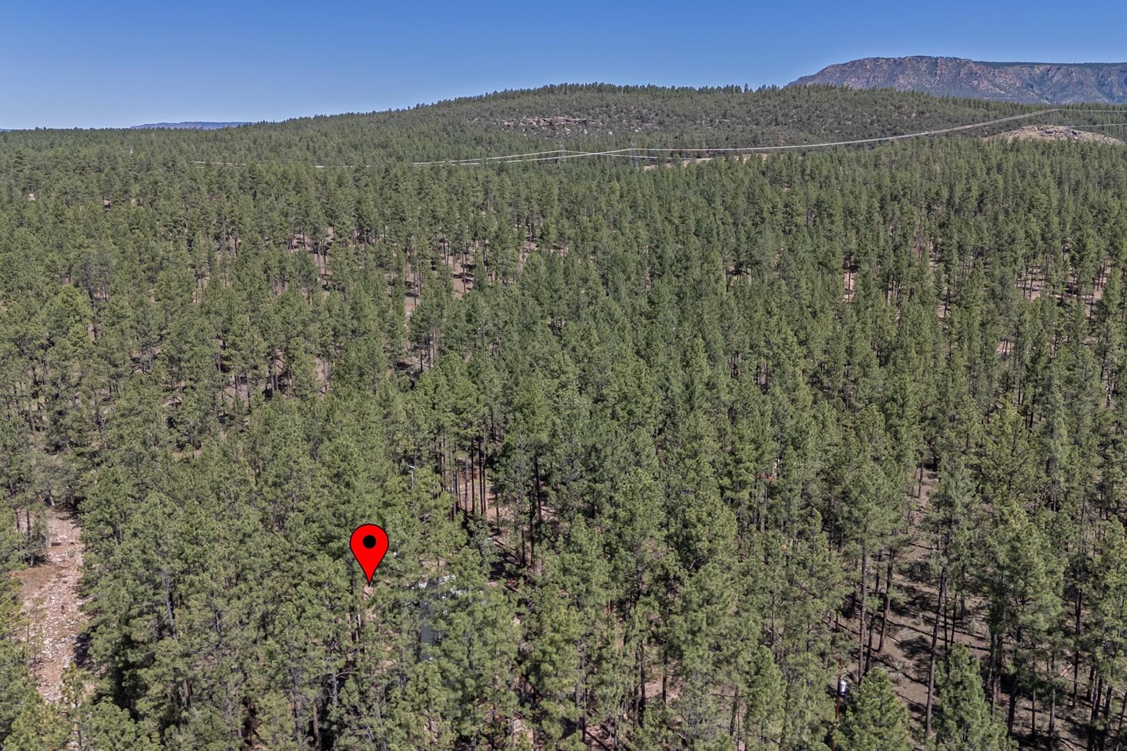 183 West Raven Road Payson, AZ 85541 - Photo 56 of 70 IMG_ 44