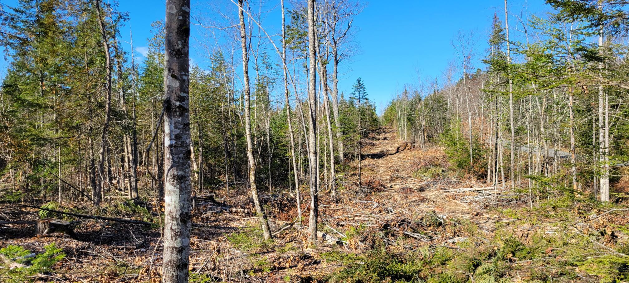 25-22 Back Troy Road Troy, ME 04987 - Photo 21 of 43 Lot 7