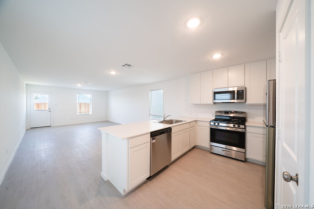 11830 Spiderwort Ridge Converse, TX 78109 - Photo 8 of 22