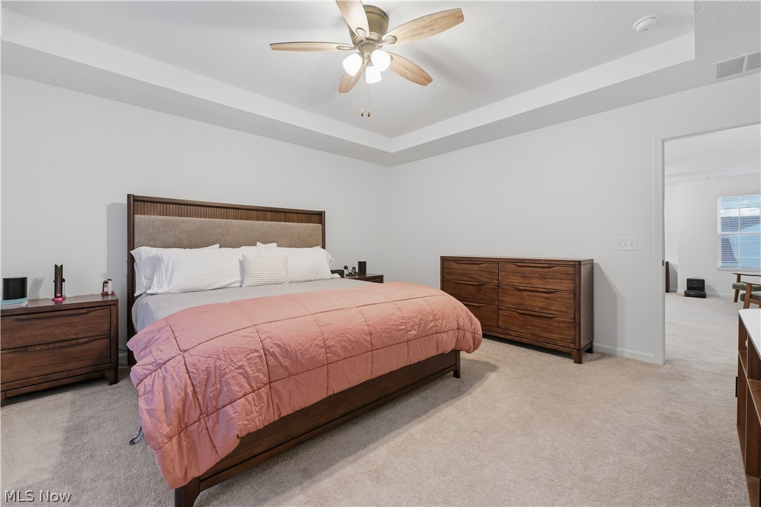3785 Rachael Lane Uniontown, OH 44685 - Photo 29 of 49 Beautiful primary in neutral colors with a tray ceiling.