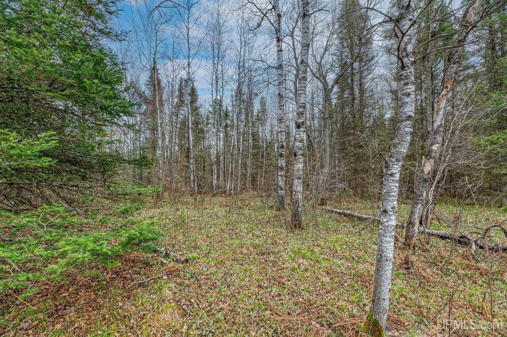 11624 Delbert Drive Long Lake, WI 54542 - Photo 21 of 36