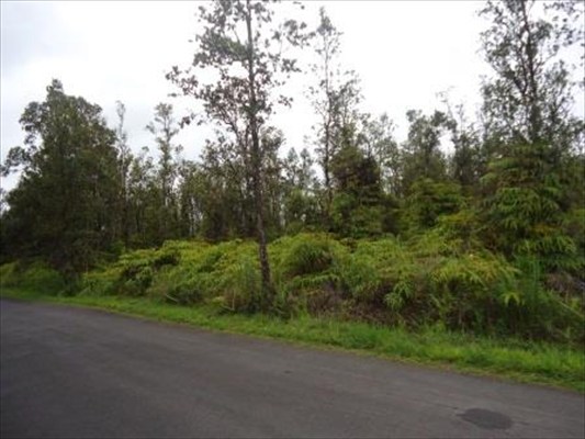 7756 St Pikake Mountain View Mountain View, HI 96771 - Photo 1 of 2 a view of a forest