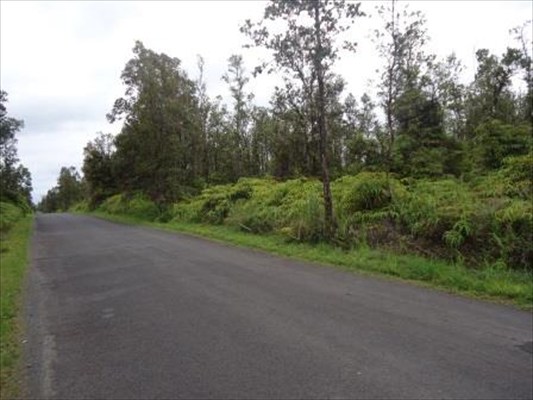 7756 St Pikake Mountain View Mountain View, HI 96771 - Photo 2 of 2 a view of a field with trees in background