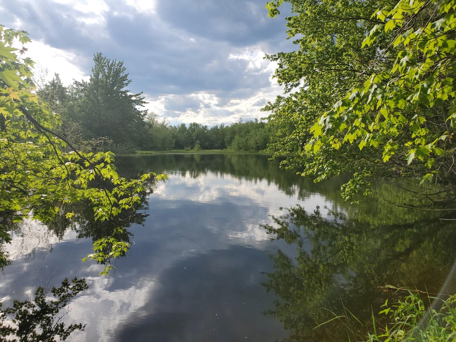 M6-l65 M6-l65 Tacconett Road Palmyra, ME 04965 - Photo 8 of 11 20210602_172441
